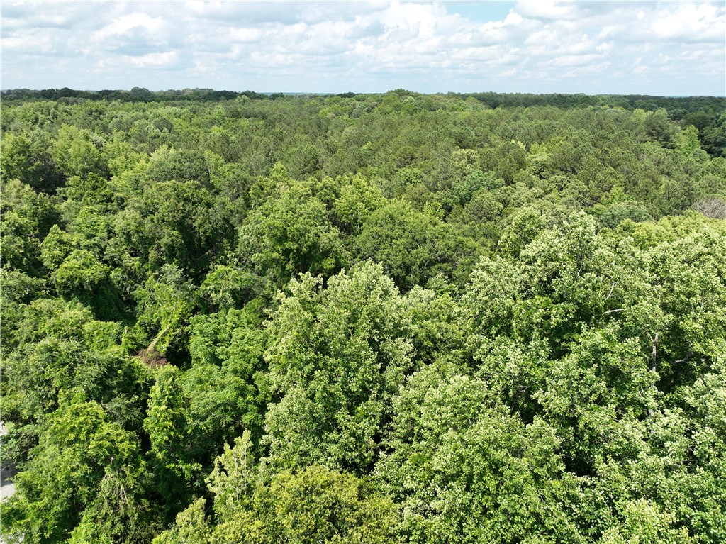 100 Gene Fleming Road, Iva, South Carolina image 6