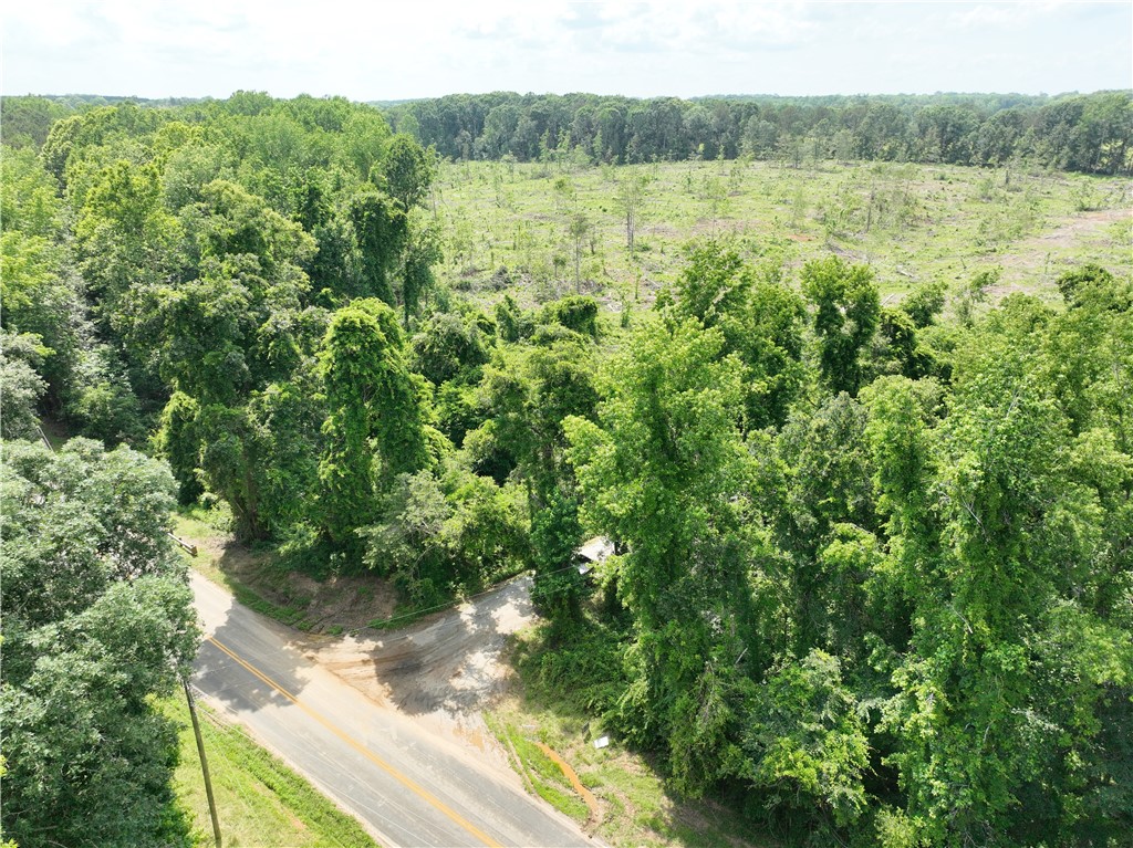 100 Gene Fleming Road, Iva, South Carolina image 3