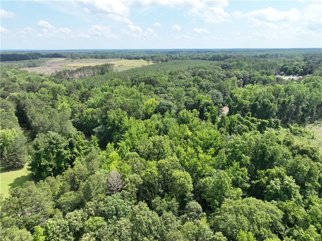 100 Gene Fleming Road, Iva, South Carolina image 11