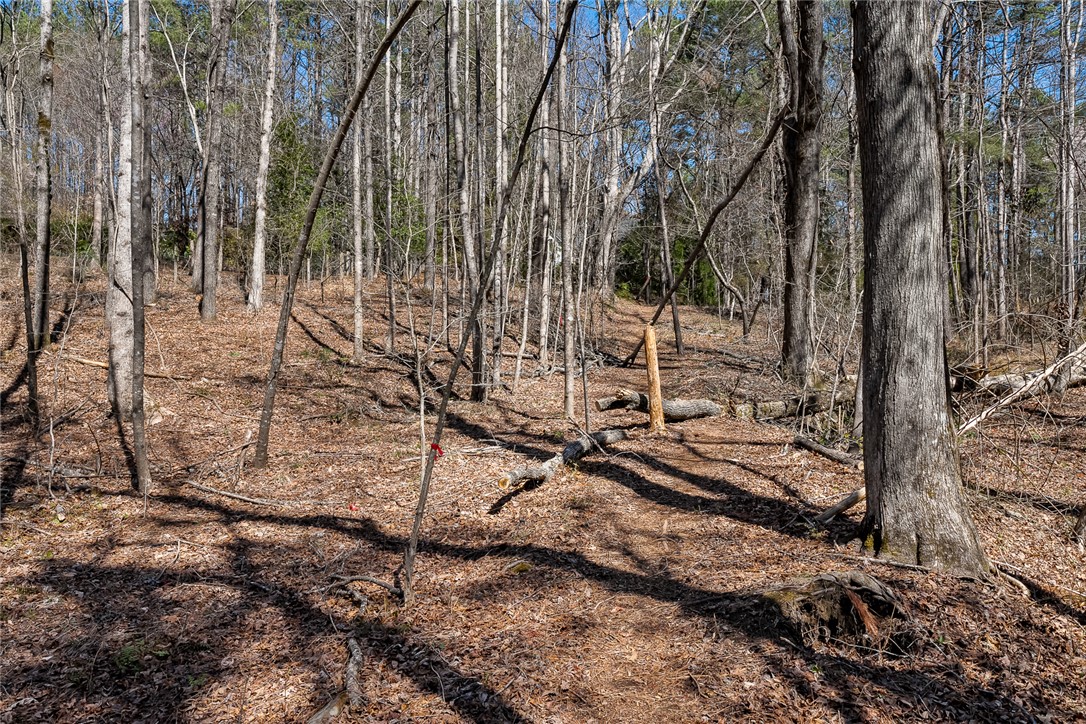212 Morgan Drive, Central, South Carolina image 49