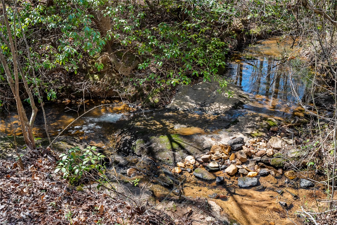 212 Morgan Drive, Central, South Carolina image 44