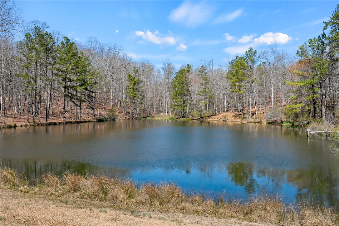 212 Morgan Drive, Central, South Carolina image 40