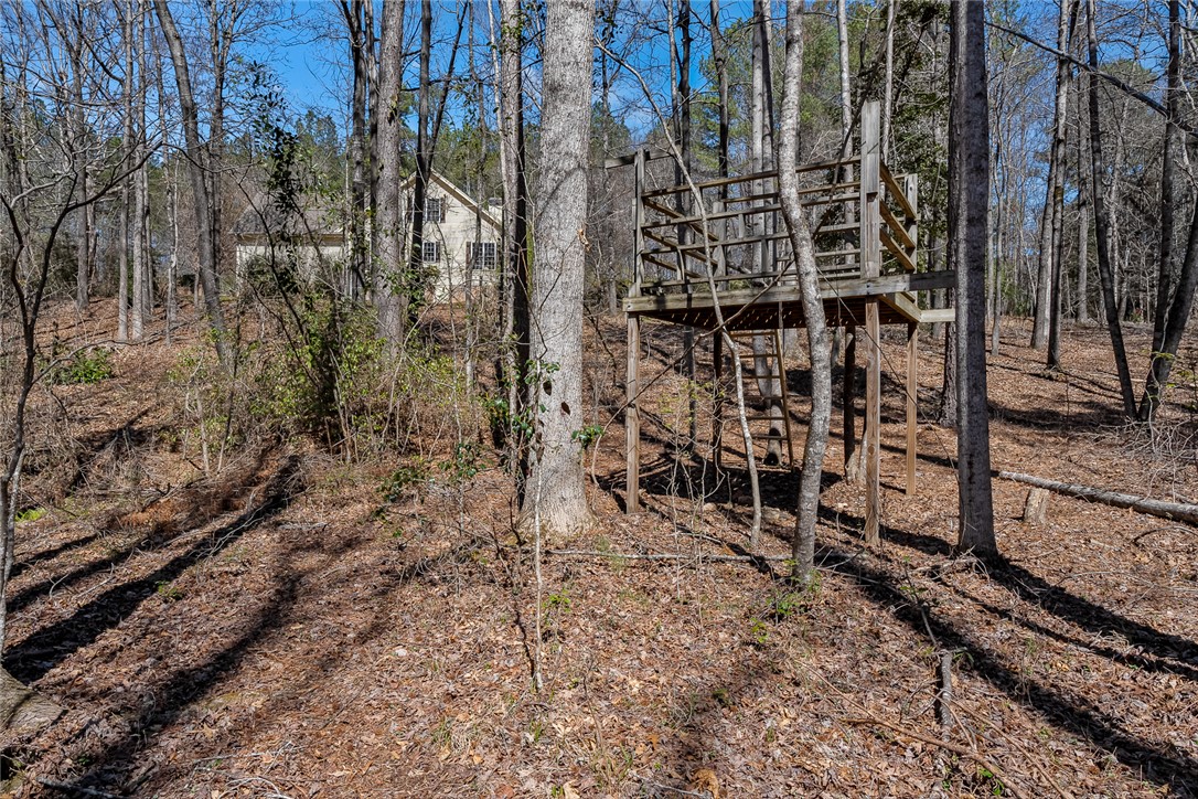 212 Morgan Drive, Central, South Carolina image 43