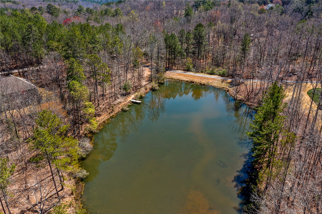 212 Morgan Drive, Central, South Carolina image 42