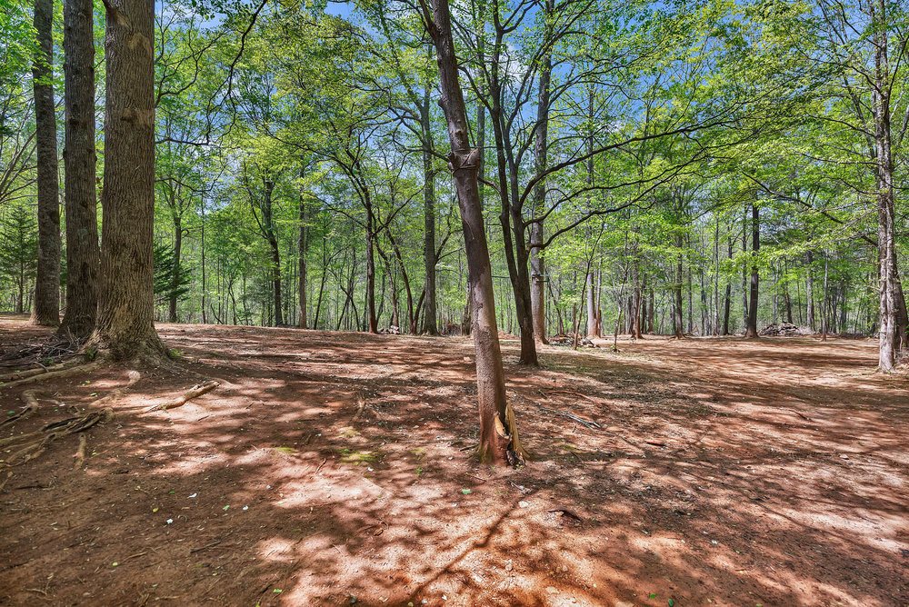 703 Burnt Tanyard Road, Salem, South Carolina image 30