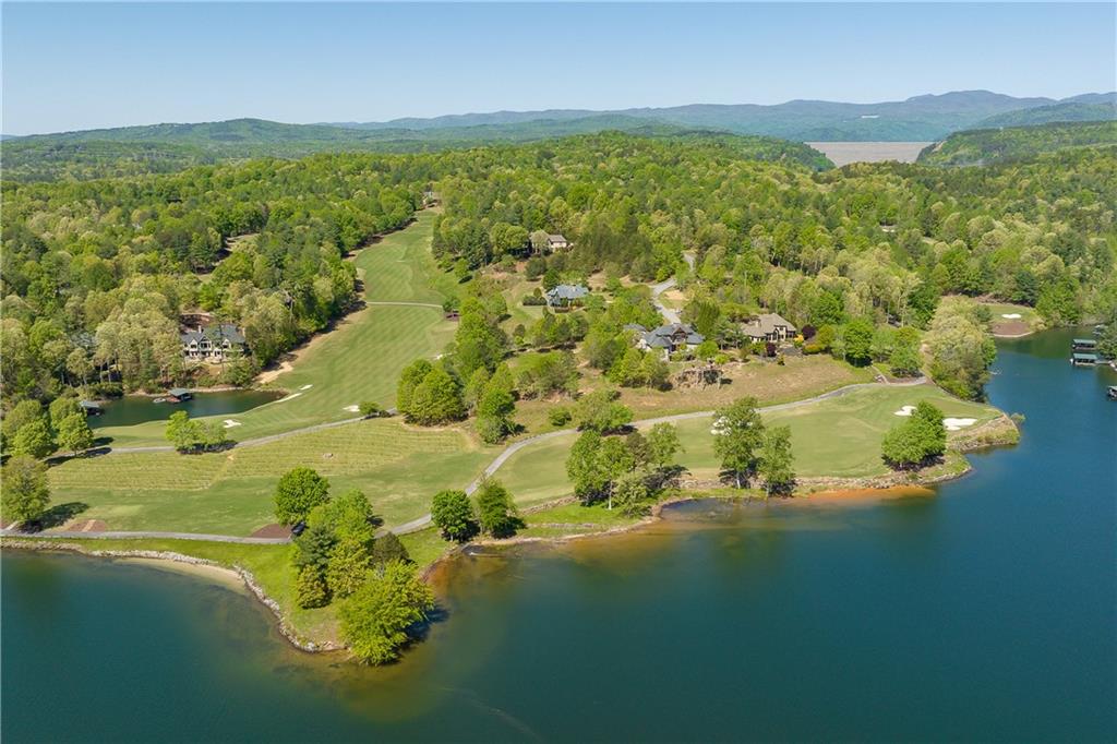 217 Buttercup Way, Sunset, South Carolina image 6