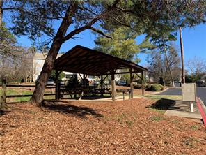 220 Elm Street #433, Clemson, South Carolina image 6