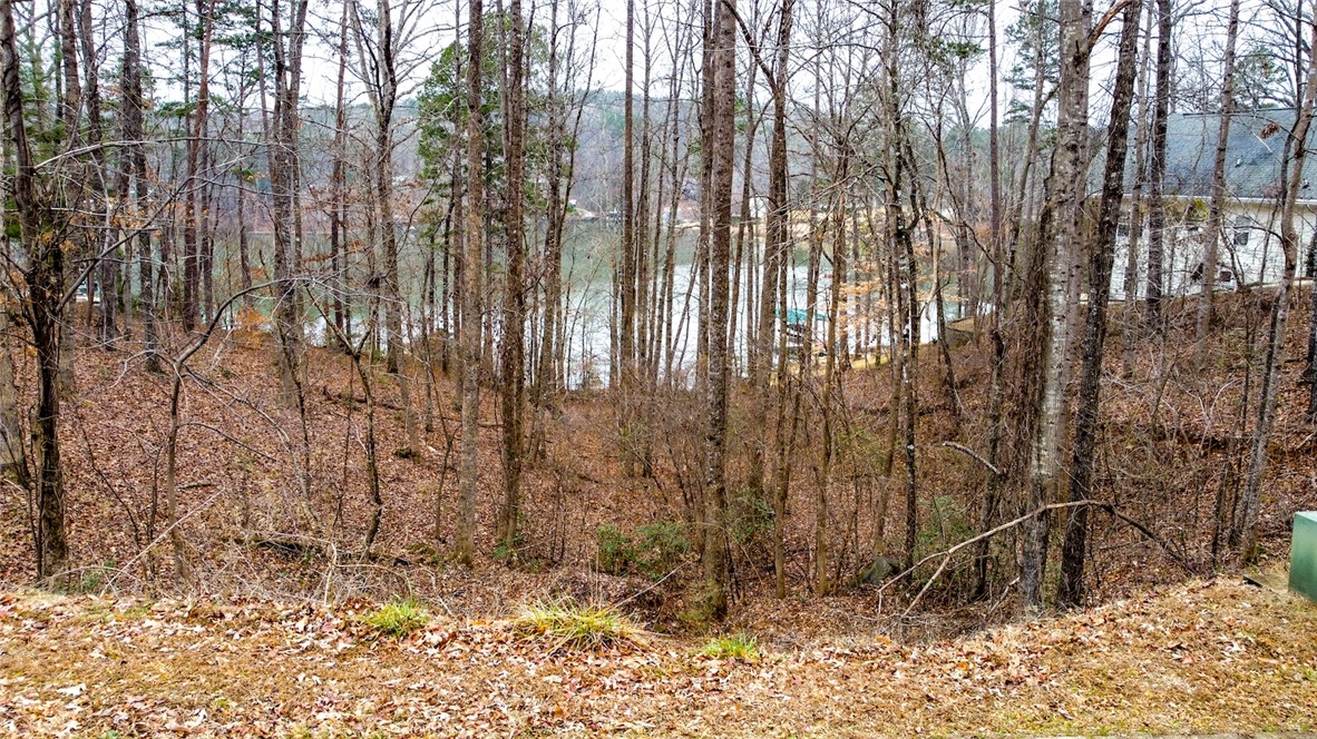 107 W Waters Edge Lane, West Union, South Carolina image 4
