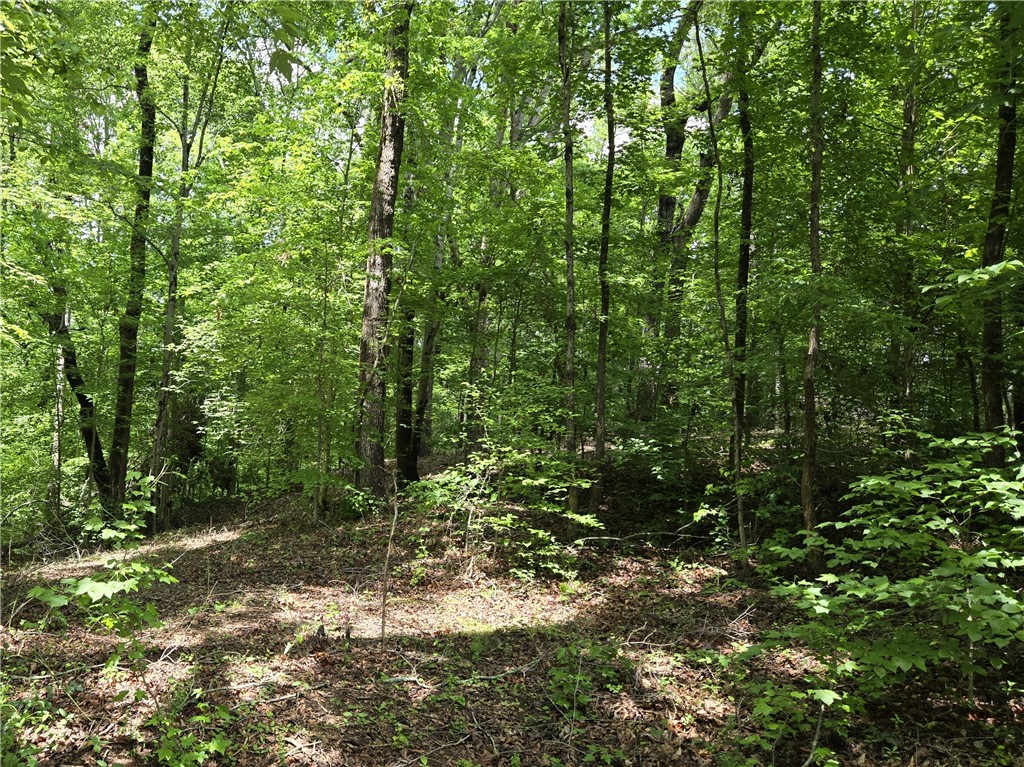 00 Ross Drive, Starr, South Carolina image 3