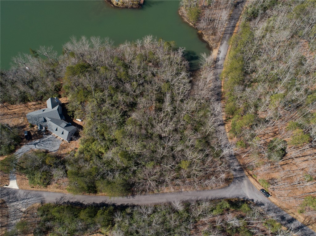 Bluff Ridge Road, Cleveland, South Carolina image 2