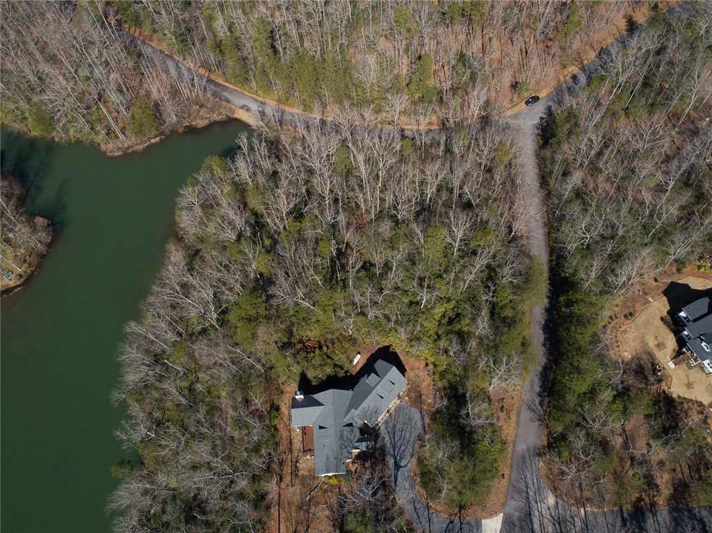 Bluff Ridge Road, Cleveland, South Carolina image 7