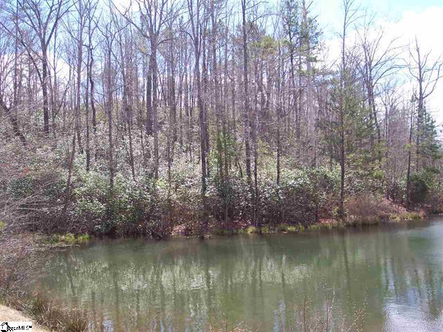 Bluff Ridge Road, Cleveland, South Carolina image 5