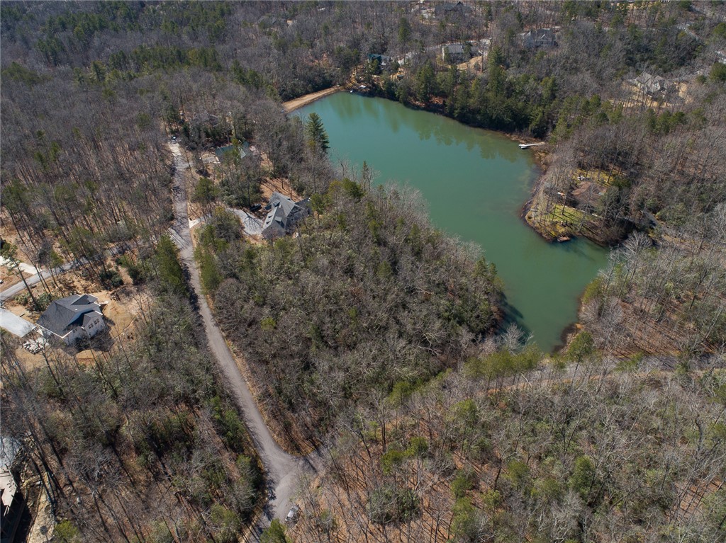 Bluff Ridge Road, Cleveland, South Carolina image 8