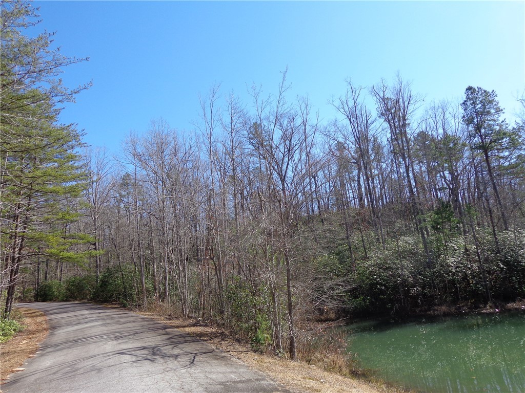 Bluff Ridge Road, Cleveland, South Carolina image 12