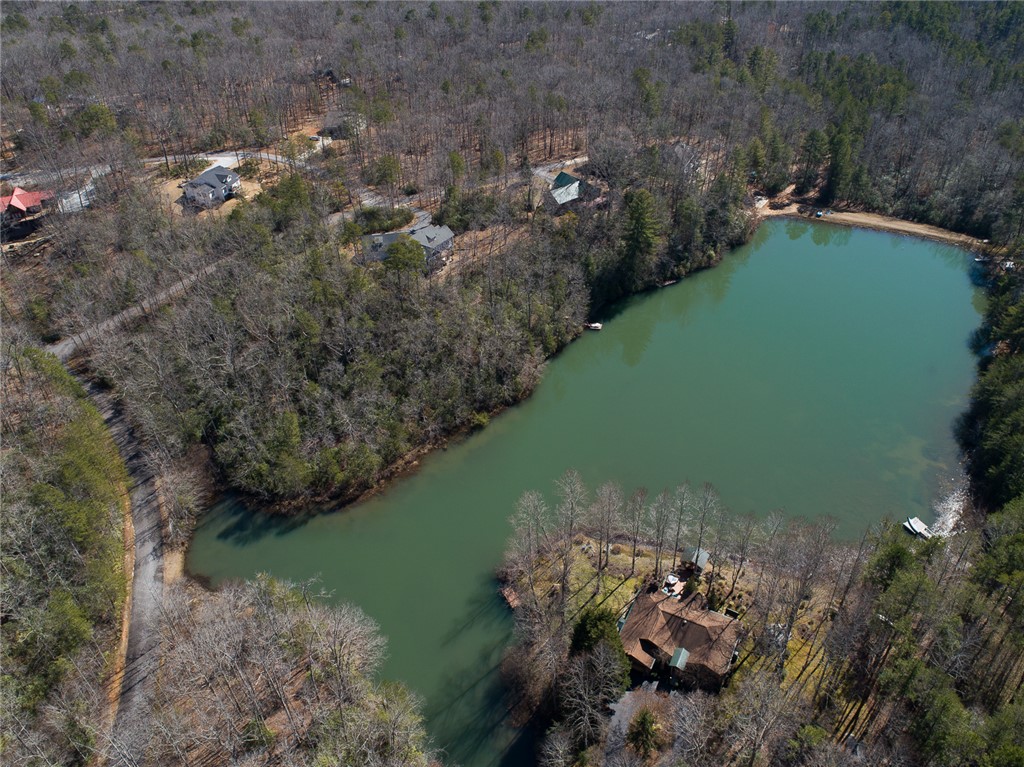 Bluff Ridge Road, Cleveland, South Carolina image 3