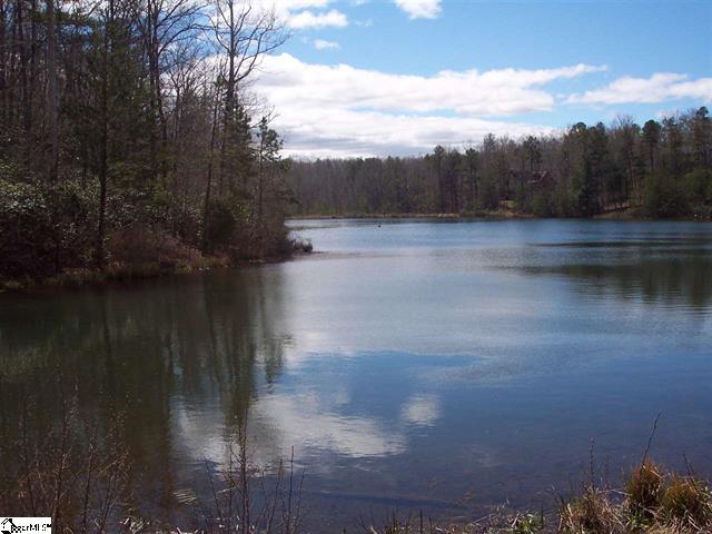 Bluff Ridge Road, Cleveland, South Carolina image 6