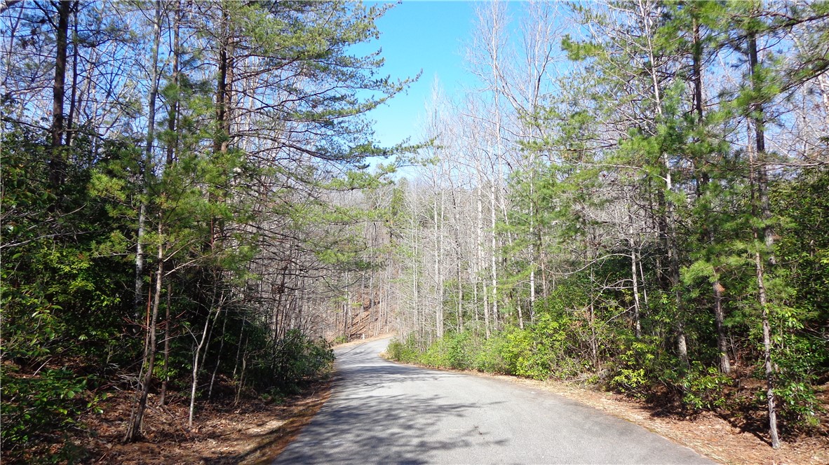 Bluff Ridge Road, Cleveland, South Carolina image 13