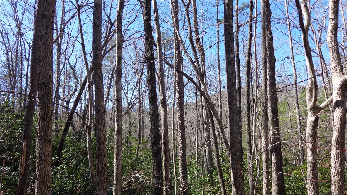 Bluff Ridge Road, Cleveland, South Carolina image 8
