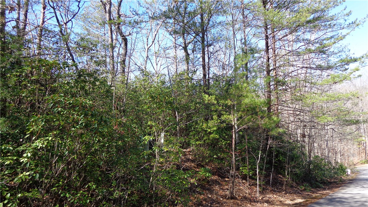 Bluff Ridge Road, Cleveland, South Carolina image 7