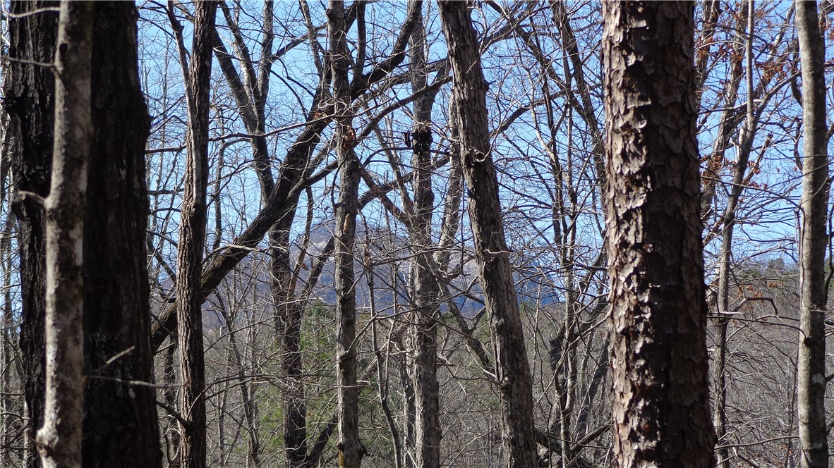 Bluff Ridge Road, Cleveland, South Carolina image 9
