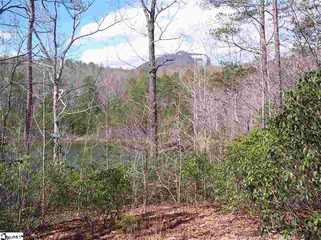 Bluff Ridge Road, Cleveland, South Carolina image 4