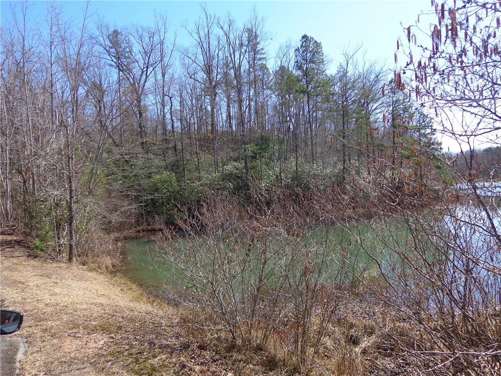 Bluff Ridge Road, Cleveland, South Carolina image 11