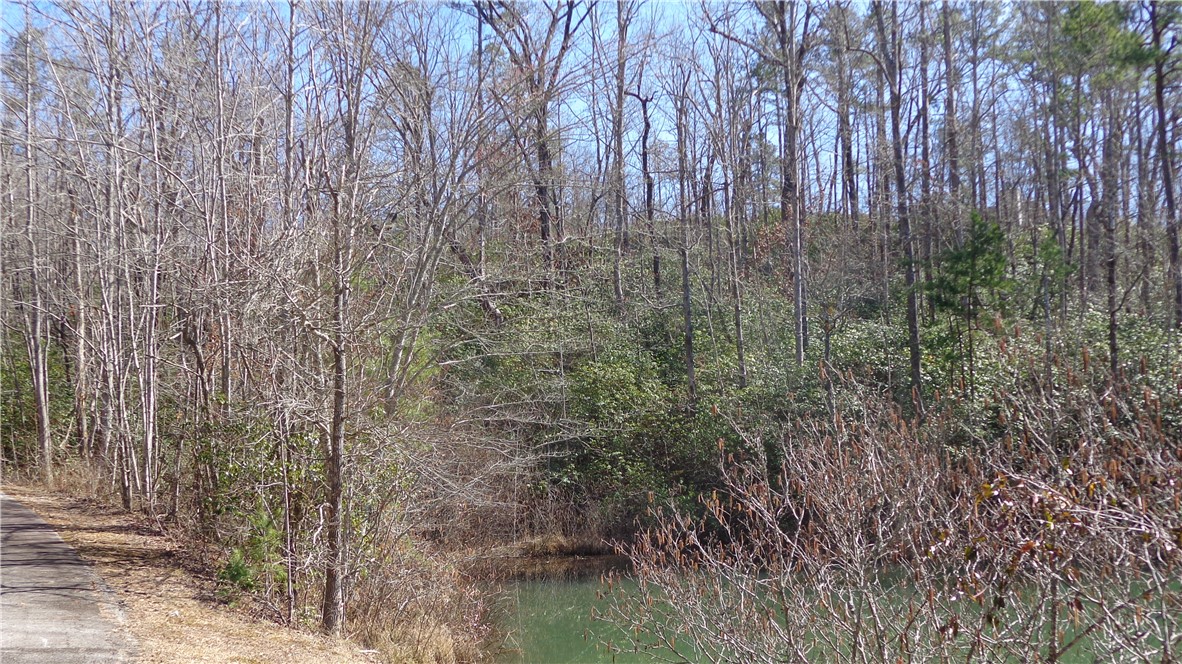 Bluff Ridge Road, Cleveland, South Carolina image 10