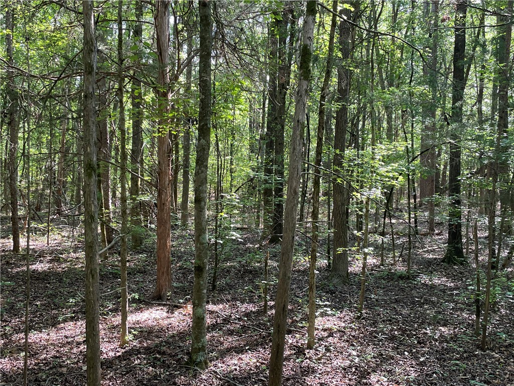 00 Clatworthy Road, Honea Path, South Carolina image 12