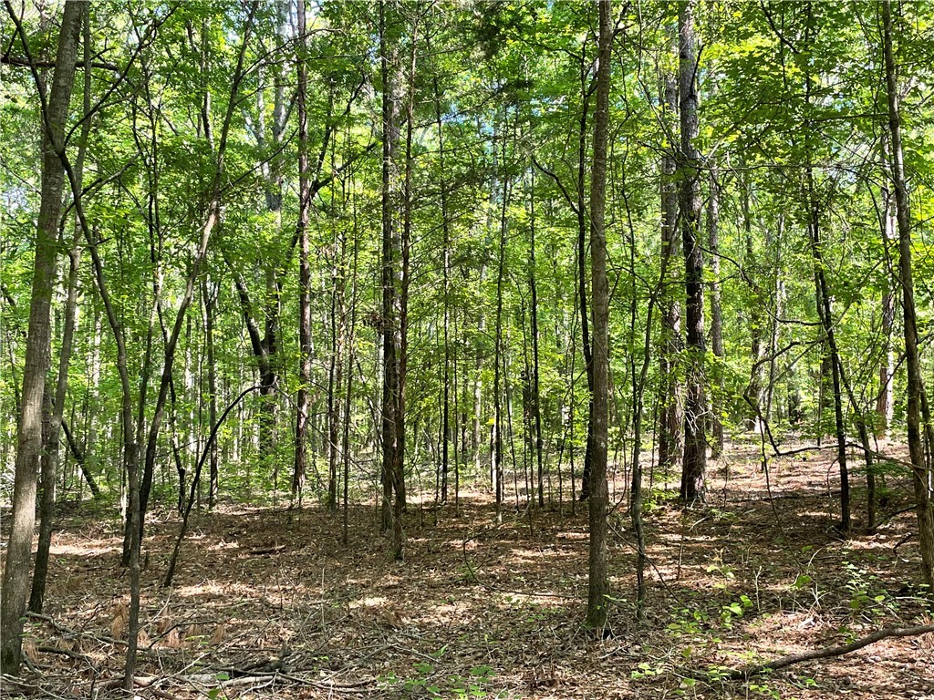 00 Clatworthy Road, Honea Path, South Carolina image 8