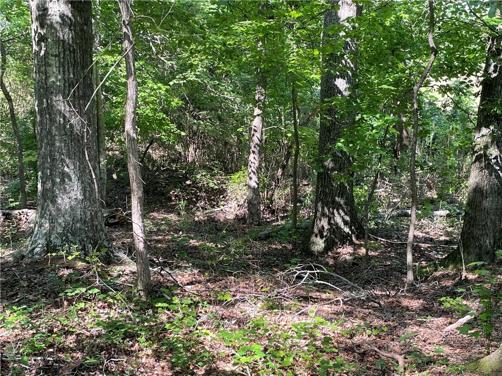 00 Clatworthy Road, Honea Path, South Carolina image 14