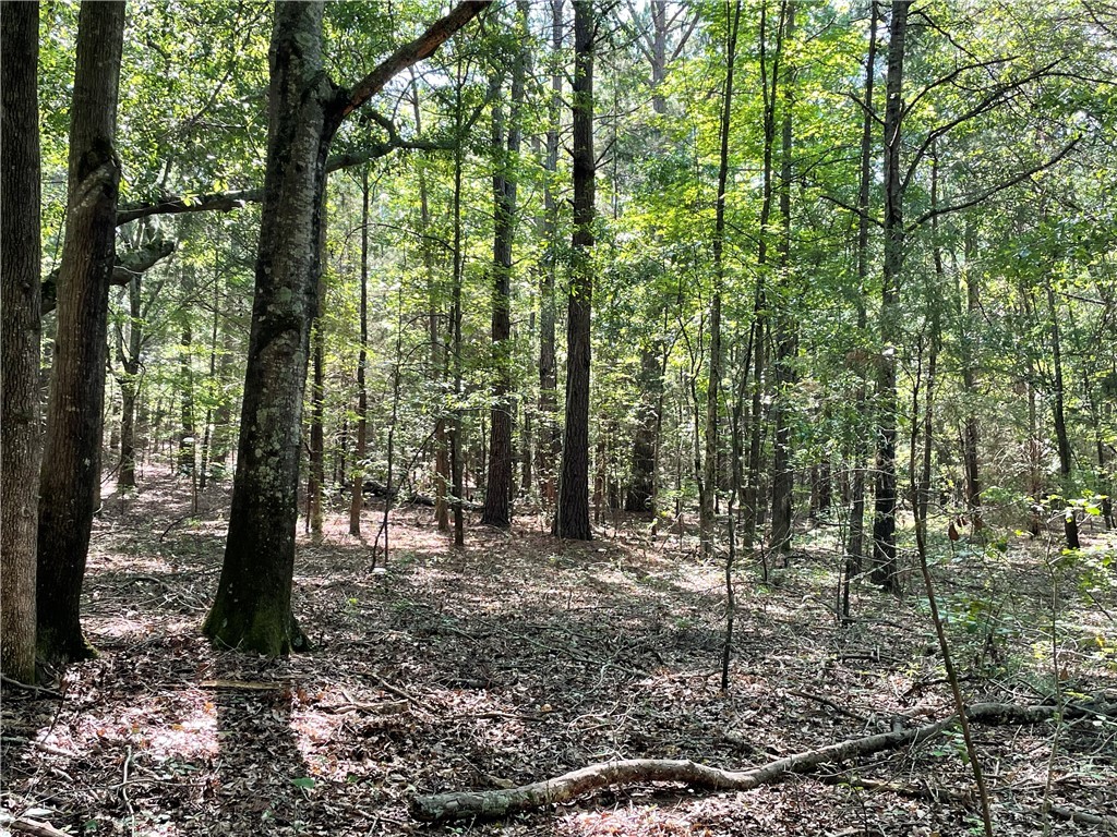 00 Clatworthy Road, Honea Path, South Carolina image 9