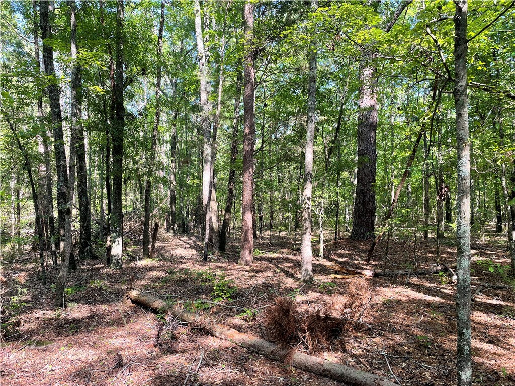 00 Clatworthy Road, Honea Path, South Carolina image 15