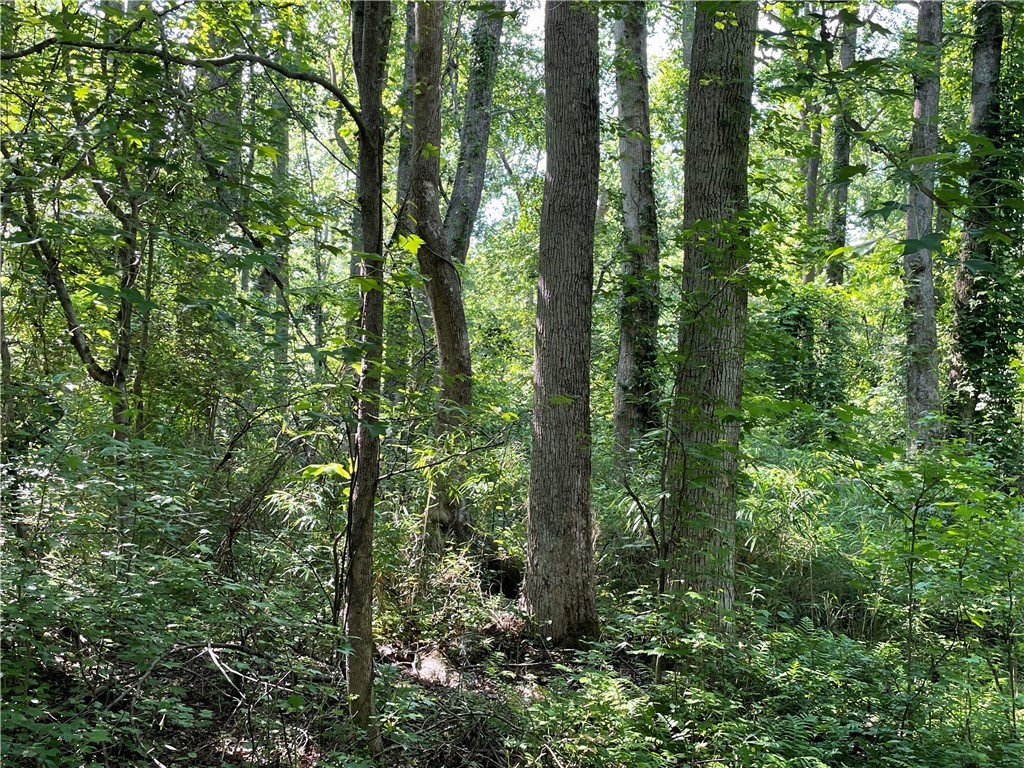00 Clatworthy Road, Honea Path, South Carolina image 6