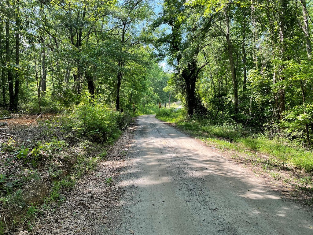 00 Clatworthy Road, Honea Path, South Carolina image 16
