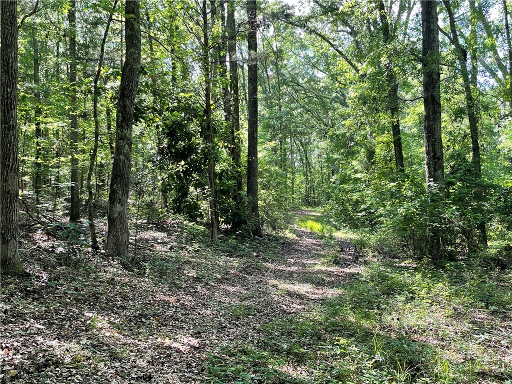 00 Clatworthy Road, Honea Path, South Carolina image 5