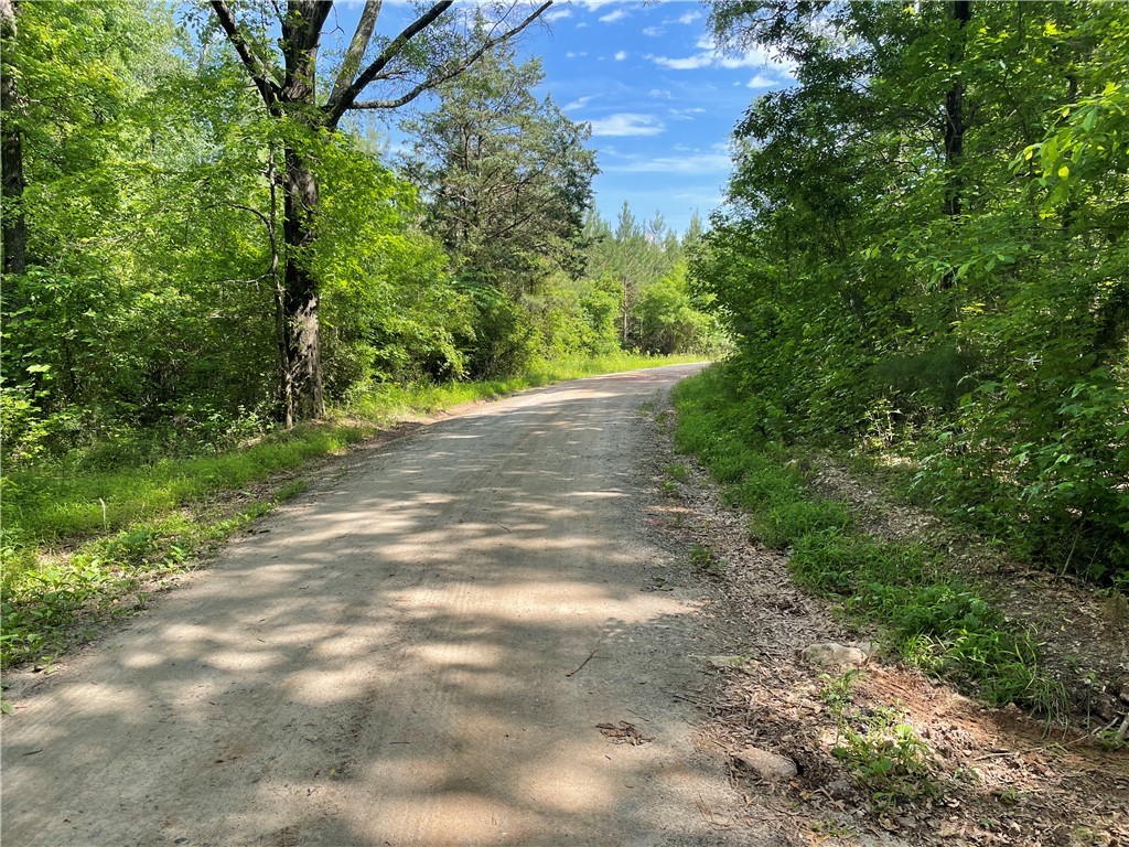 00 Clatworthy Road, Honea Path, South Carolina image 17
