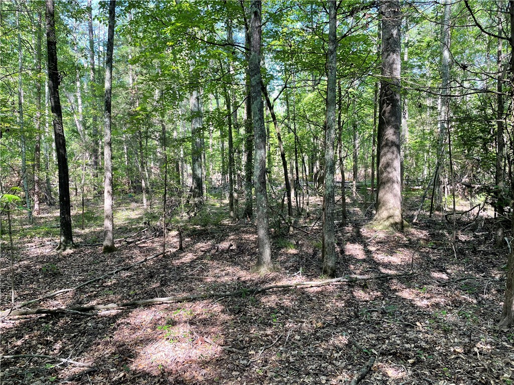 00 Clatworthy Road, Honea Path, South Carolina image 11