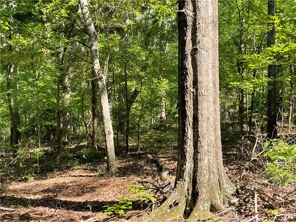 00 Clatworthy Road, Honea Path, South Carolina image 13