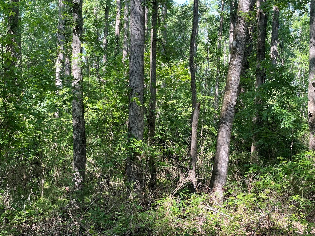 00 Clatworthy Road, Honea Path, South Carolina image 7
