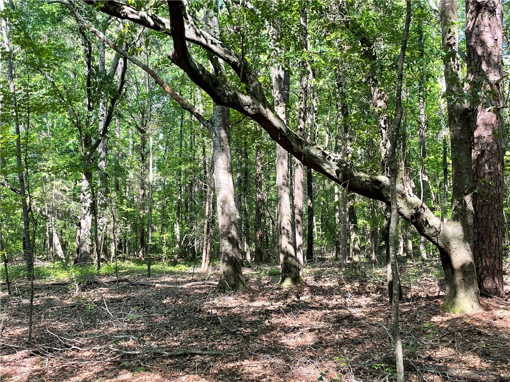 00 Clatworthy Road, Honea Path, South Carolina image 10