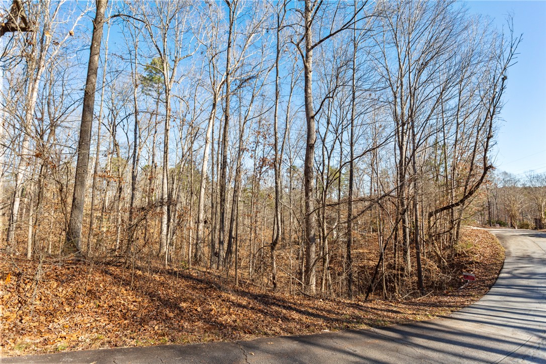 00 Bayfield Road, Westminster, South Carolina image 4