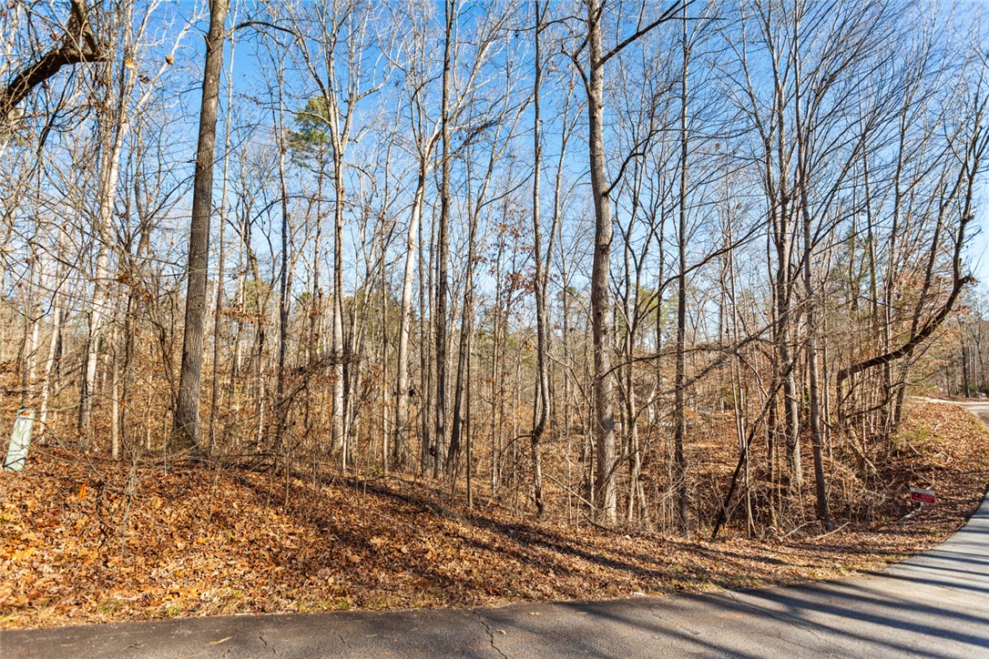 00 Bayfield Road, Westminster, South Carolina image 12