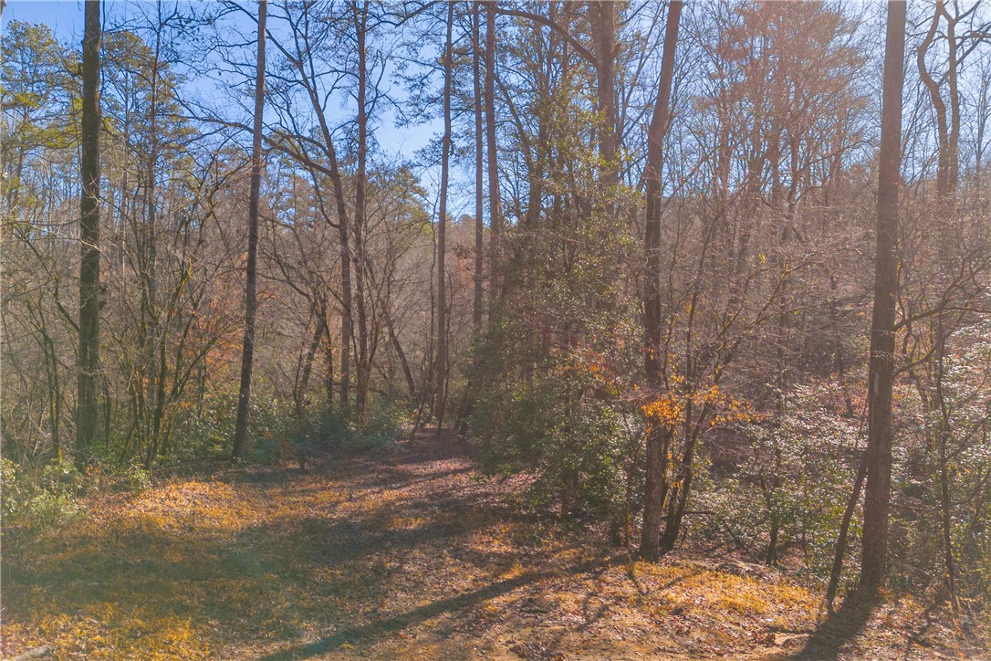 282 Little River Lane, Walhalla, South Carolina image 15