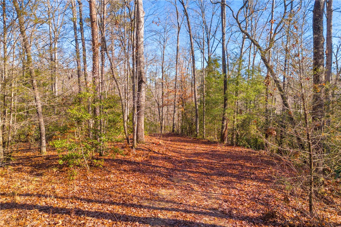 282 Little River Lane, Walhalla, South Carolina image 21