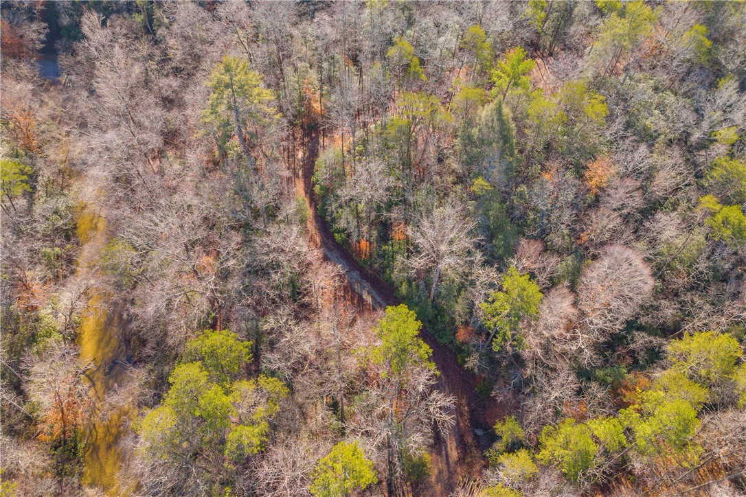 282 Little River Lane, Walhalla, South Carolina image 17
