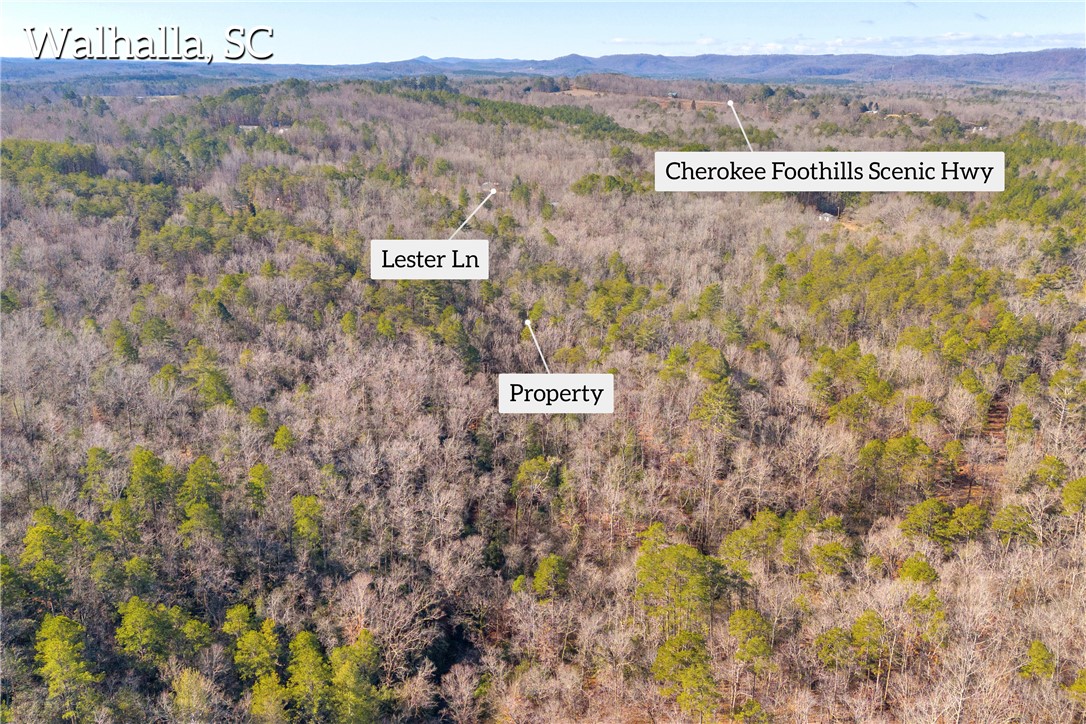 282 Little River Lane, Walhalla, South Carolina image 33
