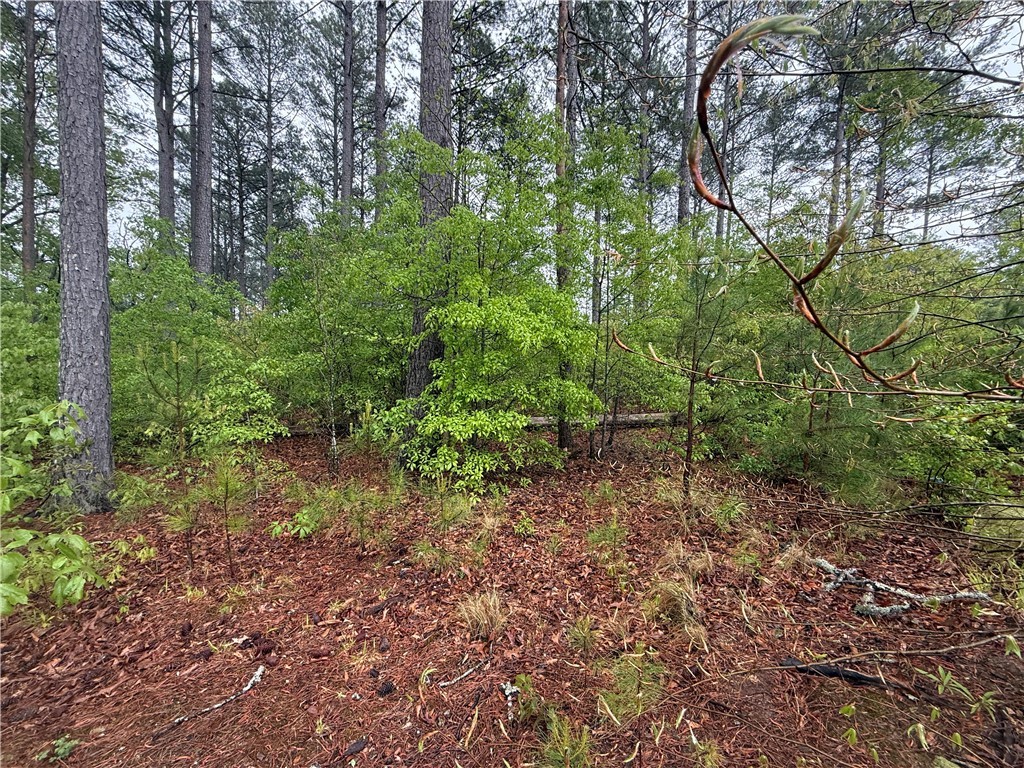 Lot #63 Harbor Point Road, Seneca, South Carolina image 5