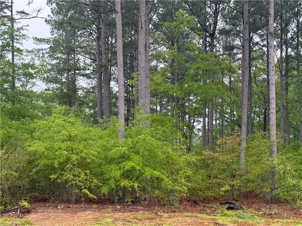 Lot #63 Harbor Point Road, Seneca, South Carolina image 2