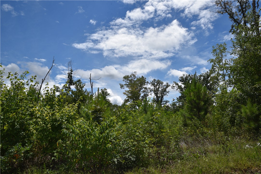 Tilson Farm Rd., Tamassee, South Carolina image 6