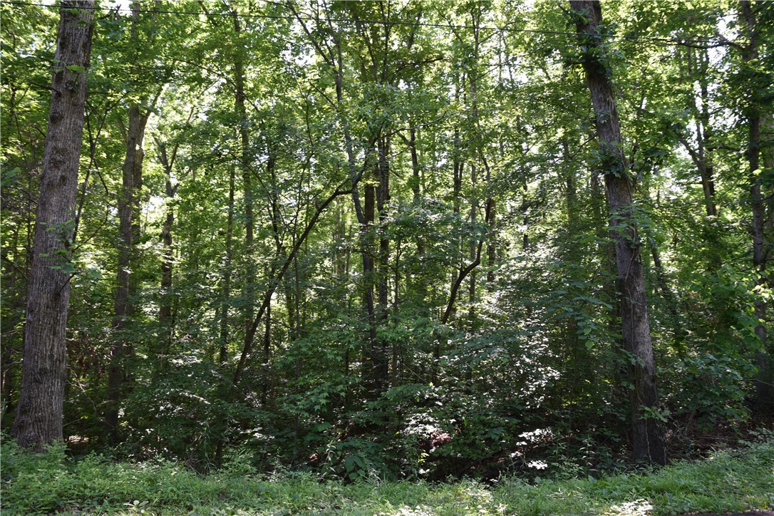 Tilson Farm Rd., Tamassee, South Carolina image 7